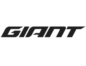 Giant brand bikes